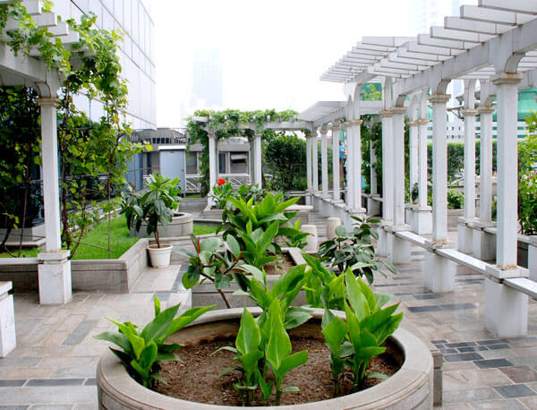屋顶花园景观绿化工程